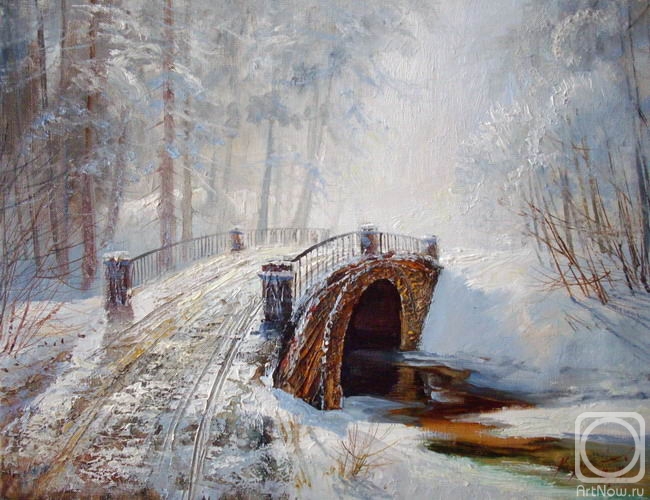 Kulikov Vladimir. Winter Park Bridge