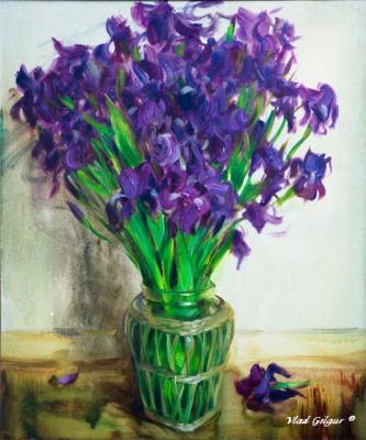 Irises. Gilgur Vlad