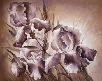 Other irises. Sokolova Nadya
