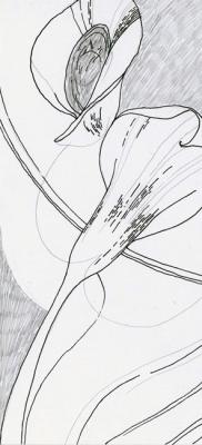 ������������ �����. ����. ��������� ����