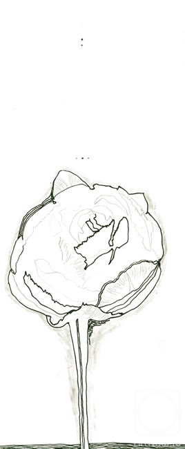 �������. ��������� ����. ������������ �����. ����