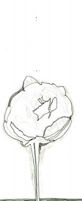 ��������� ���� ��������. ������������ �����. ����