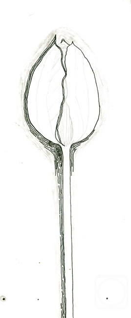 �������. ��������� ����. ������������ �����. ������� 2