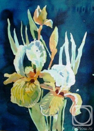 Antipova Elena. white irises