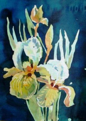 white irises. Antipova Elena