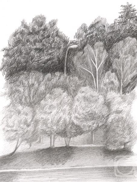 �������. ��������� ����. ������� �� ������ �����