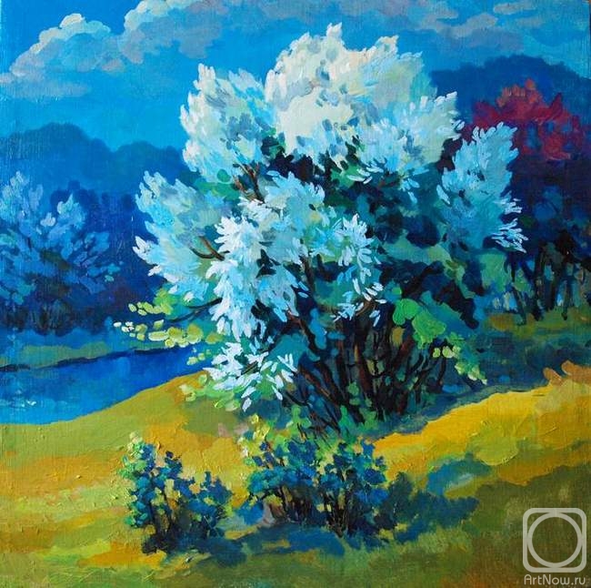 ������� ������ �� ������. ������� �������. �������� ����