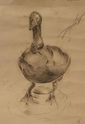 ������� �����