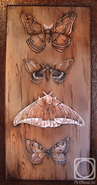 Kaminskaya Maria. Moths