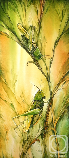 Kaminskaya Maria. Grasshoppers