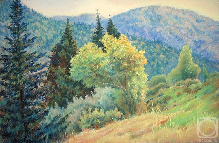 �������. ������� ������. ������� ����