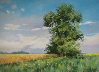 Lonely tree!!!. Chernyshev Andrei