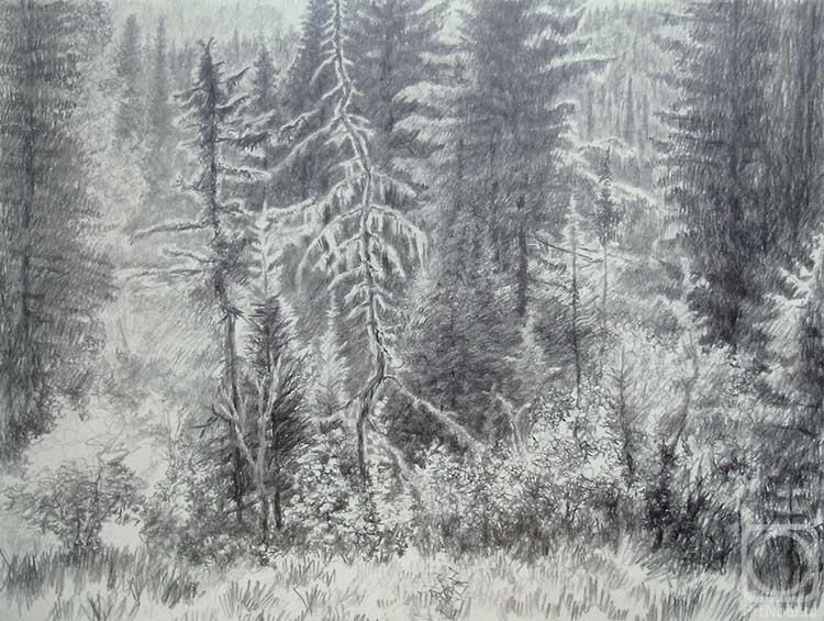 �������. ������� ������. ������ ����