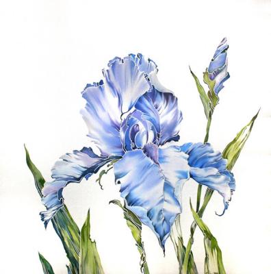 Blue Iris. Kaminskaya Maria