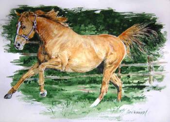 horse. Peschanaia Olga