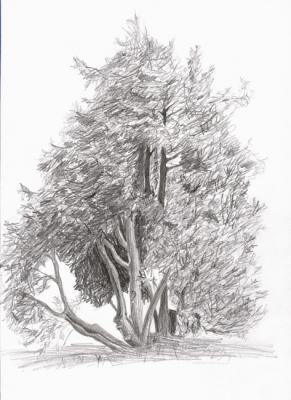 ��� �� �����. ��������� ����