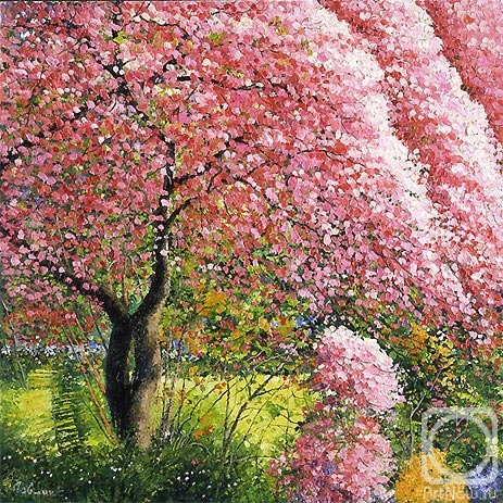 ������� ������ �� ������. ������ �������. ������� ��� ��������