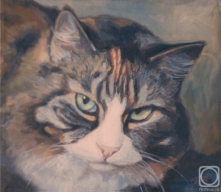 ������� ������ �� ������. �������� �������. ����� �����