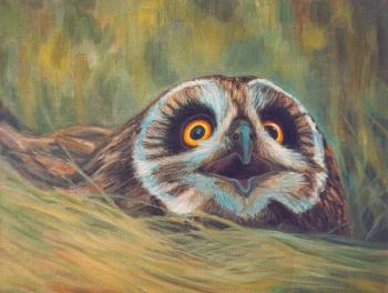 ������� �����