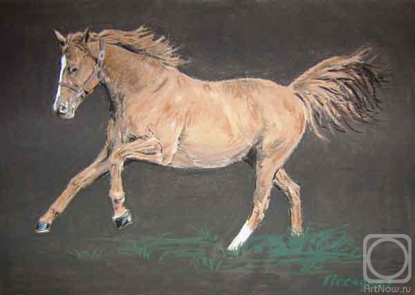 Peschanaia Olga. Horse