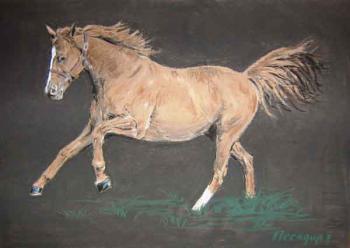 Horse. Peschanaia Olga