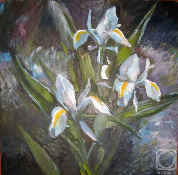 �������. ��������� ����. �����