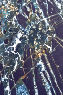 ��������. ��������. ��������� �����