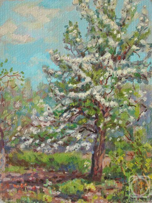 Kozlov Jacobus. Pear tree in bloom