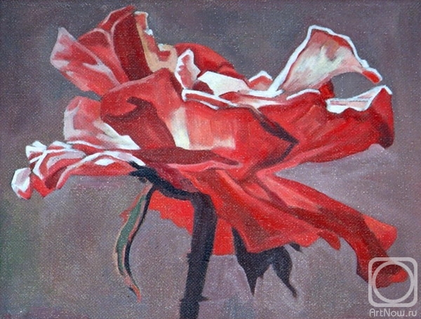 ������� ������ �� ������. �������� �������. ������ ��������