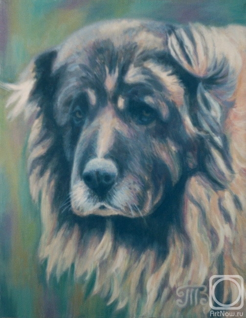 ������� ������ �� ������. �������� �������. ������ ��������