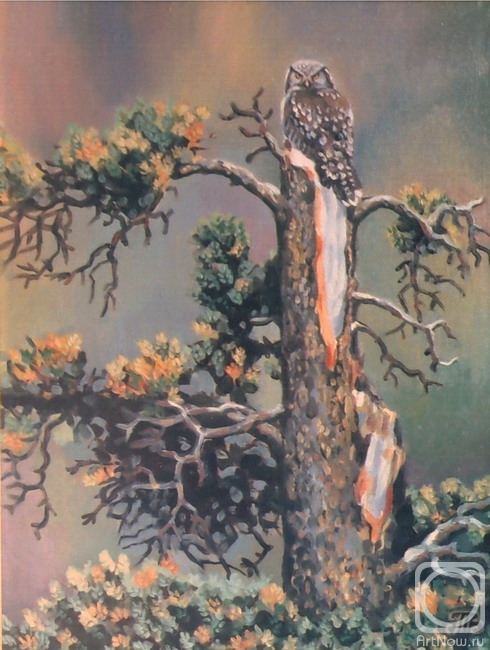 ������� ������ �� ������. �������� �������. ����