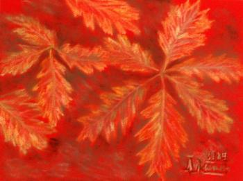 ������� �������� �������� ����