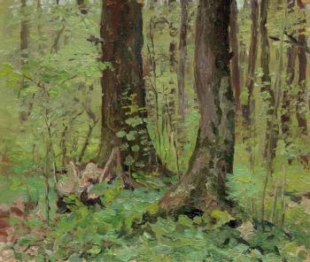 May in Oak Forest (etude). Chernov Denis
