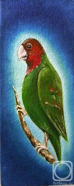 �������. ������� ��������. ������� �����������