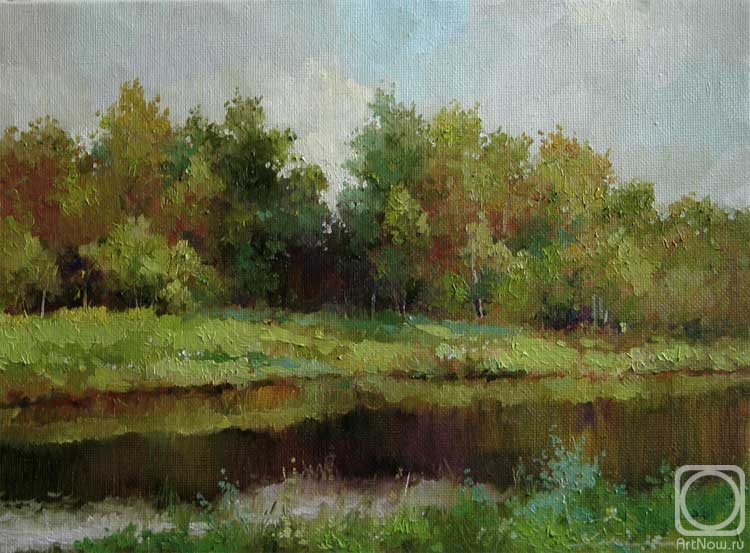 ������� ������ �� ������. �������� �������. 311