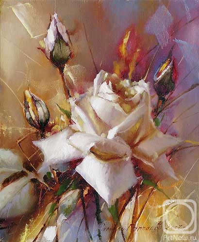 Gappasov Ramil. White rose