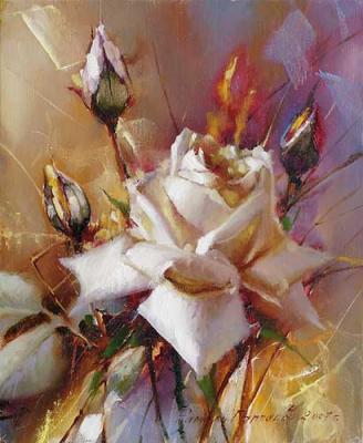 White rose. Gappasov Ramil