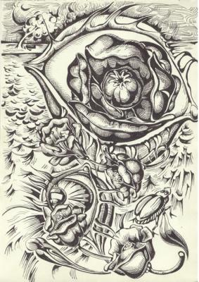 ������� �����