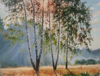 Birches, sunny glade. Chernyshev Andrei