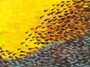 ������� ������������ ������������