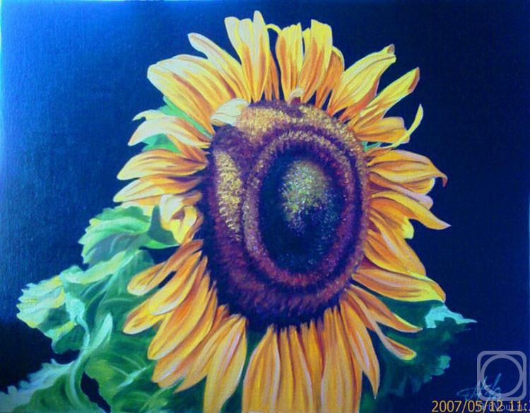 ������� ������ �� ������. ��������� �����. ��������������