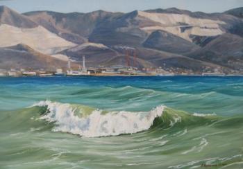 Surf in the bay. Chernyshev Andrei