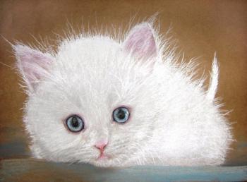A kitten. Peschanaia Olga