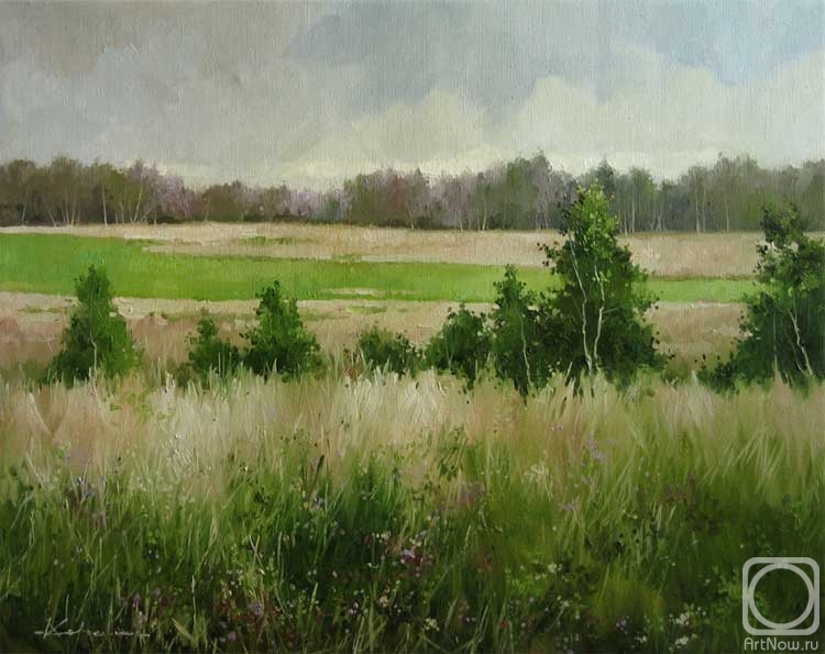 ������� ������ �� ������. �������� �������. 313