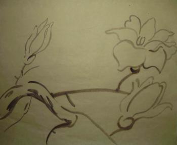 ������� �������