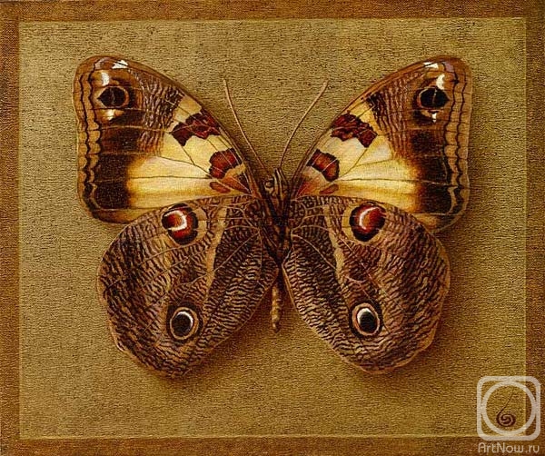 Indrikov Boris. Symbol-Butterfly 9