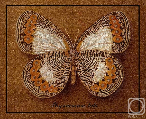 Indrikov Boris. Symbol-Butterfly 13