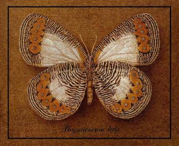 Symbol-Butterfly 13. Indrikov Boris