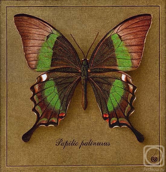 Indrikov Boris. Symbol-Butterfly 1