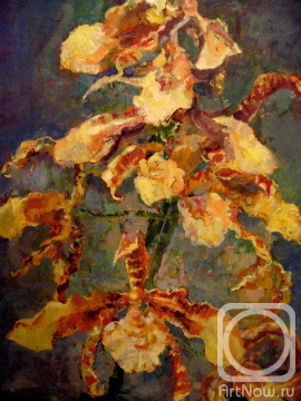 Golubeva Marianna. Orchid